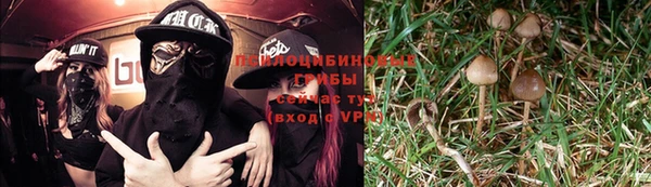 стафф Каменногорск
