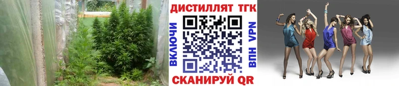 Купить  Долинск  Дистиллят ТГК THC oil 